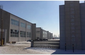 中国北方健康食品产业园A区弱电工程